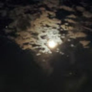 Meet your Posher, Deleta